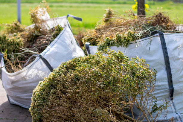 Best Professional Junk Removal  in Lawnside, NJ